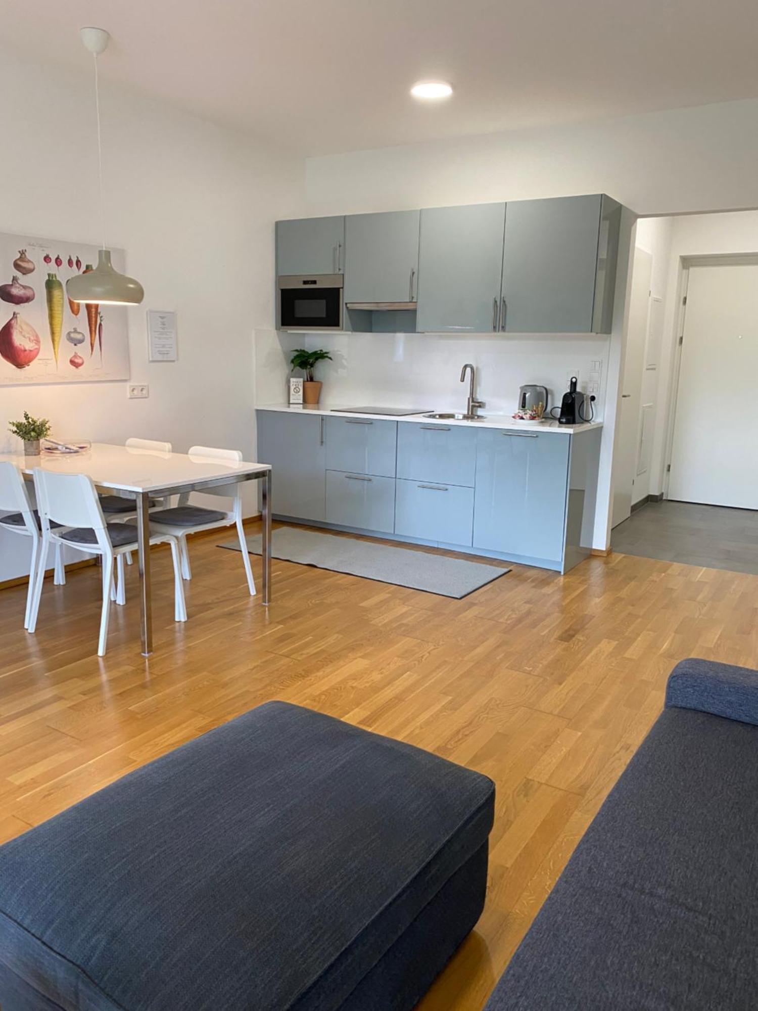 Ebelsberger Terrassen Apartment Linz Exterior foto