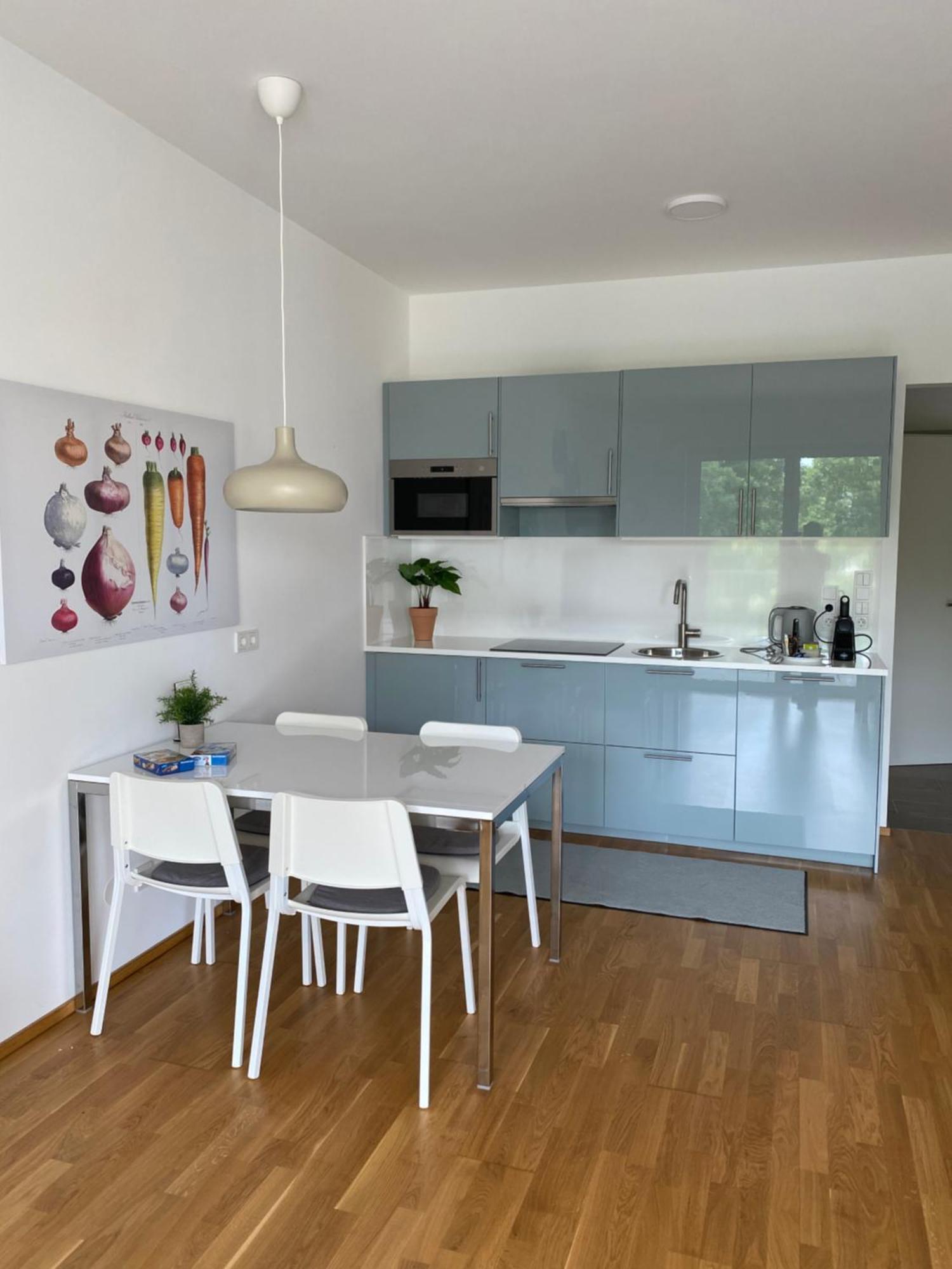 Ebelsberger Terrassen Apartment Linz Exterior foto